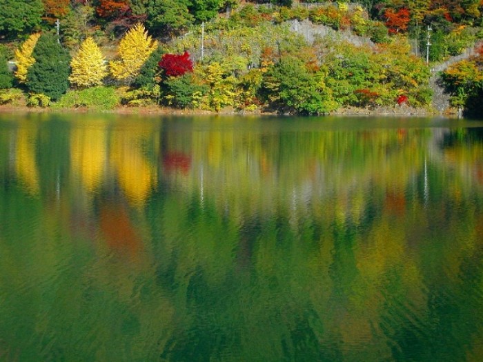 來源: http://windgrass.blog115.fc2.com/blog-category-9.html