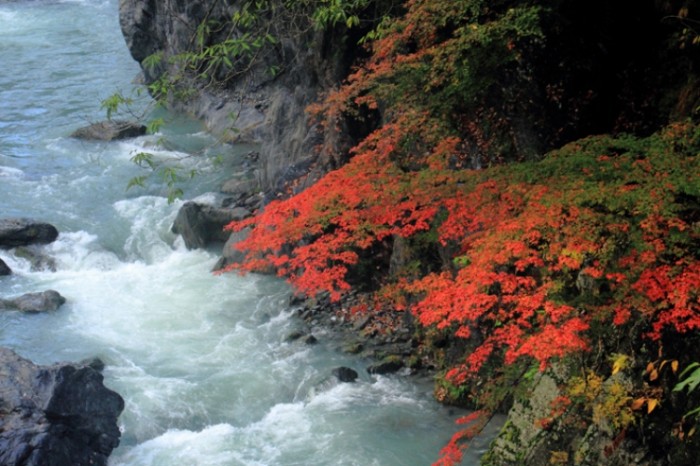 來源: http://blog.goo.ne.jp/funagen_2006/e/16ed4eb85e3de8dc025406899bc0dcc7