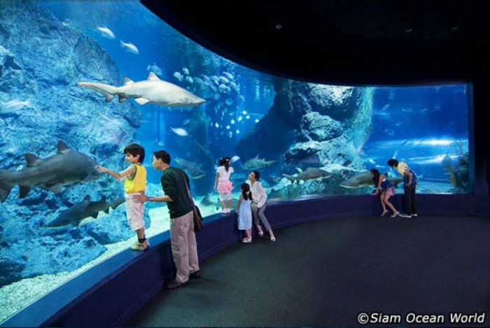 來源: http://www.bangkok.com/recreational-tours/siam-ocean-world.htm#