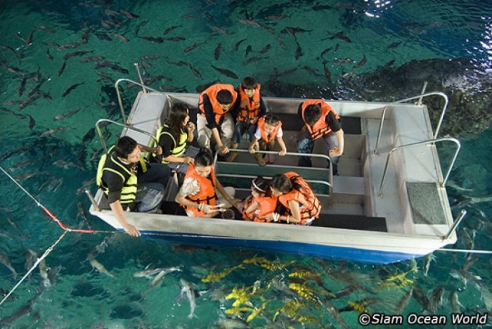 來源: http://www.bangkok.com/recreational-tours/siam-ocean-world.htm#