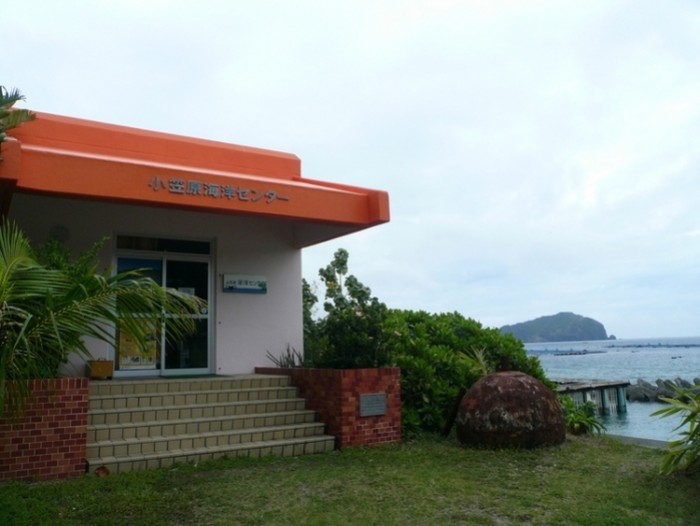 來源: http://www.kanko-ogasawara.com/article/199512318.html