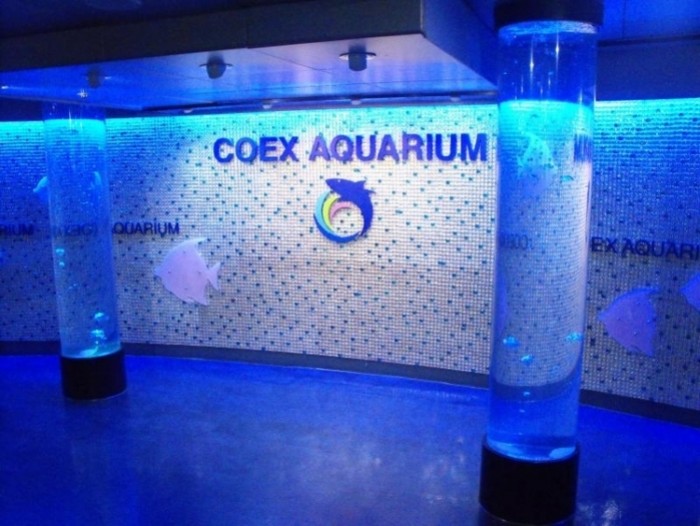 來源: http://www.travelwireasia.com/2009/07/destination-coex-aquarium/
