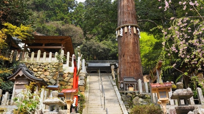 來源: http://kyotomoyou.jp/blog-entry-817.html