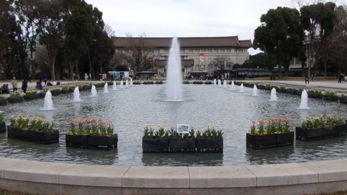 來源: http://hokutosei49.hatenablog.com/entry/ueno-koen-huyu