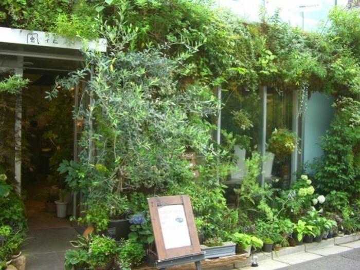 來源: http://ameblo.jp/bouquetblanche/entry-10295525596.html