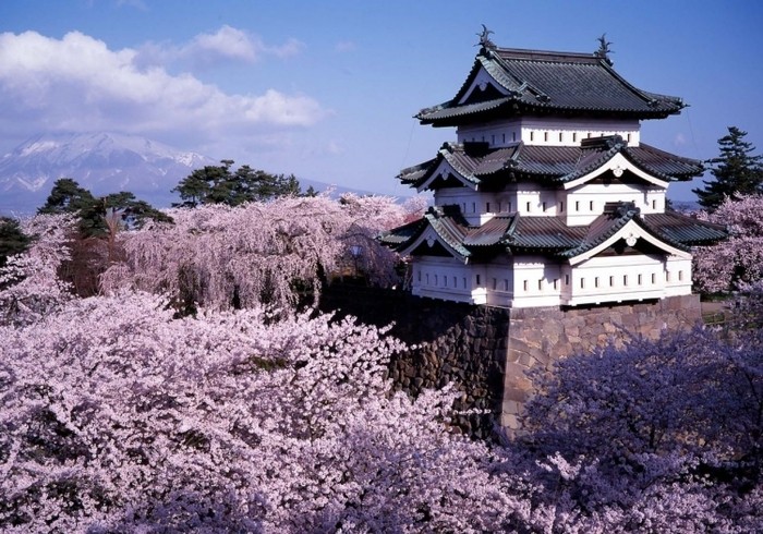 來源: http://blog.livedoor.jp/hirosaki_tensyu/archives/51967646.html