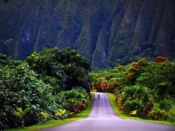 來源: http://jp.forwallpaper.com/wallpaper/kaneohe-hawaii-791171.html