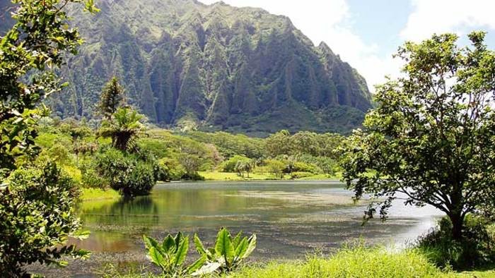 來源: http://www.aloha-hawaii.com/oahu/hoomaluhia-botanical-garden/