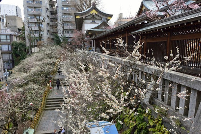 來源: http://blogs.yahoo.co.jp/sankame55/54078427.html