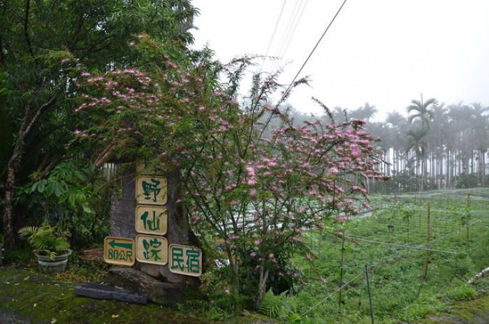 來源: http://jam323.pixnet.net/blog/post/32191623-%E9%98%BF%E9%87%8C%E5%B1%B1-%E7%B6%A0%E9%87%8E%E4%BB%99%E8%B9%A4%E4%BC%91%E9%96%92%E6%B0%91%E5%AE%BF
