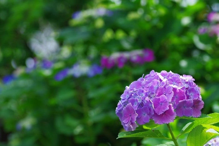 來源: http://crux.ldblog.jp/archives/3567446.html