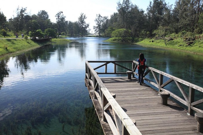 來源: http://tour.taitung.gov.tw/3/Travel/ScenicSpot/454/%E8%87%BA%E6%9D%B1%E6%A3%AE%E6%9E%97%E5%85%AC%E5%9C%92
