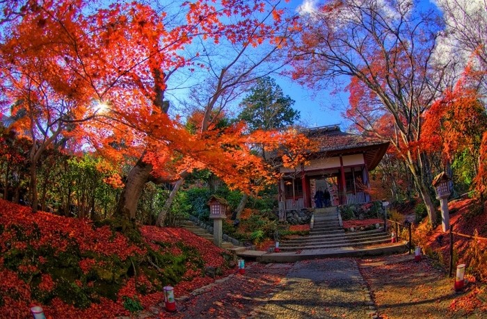 來源: http://blog.livedoor.jp/sevenhdr/archives/34739956.html
