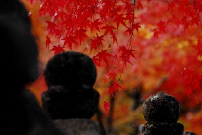 來源: http://blogs.yahoo.co.jp/ygsyq063/60076314.html