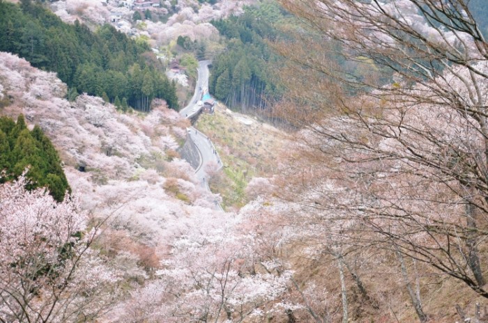 來源: http://s.webry.info/sp/taketori1123.at.webry.info/201404/article_2.html