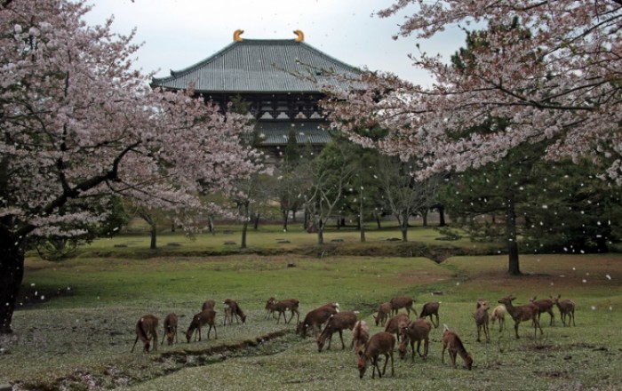 來源: http://nupcoba.blog.fc2.com/blog-entry-80.html