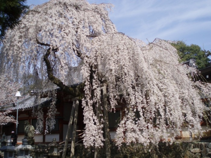 來源: http://blog.heart-express.com/article/13675714.html