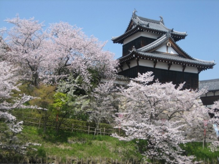 來源: http://plaza.rakuten.co.jp/0511katutyan/diary/201304080000/