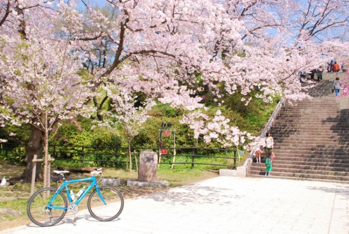 來源: http://blog.goo.ne.jp/gallerytake/e/a1fcaac86f37dcfd5213ee709431cac9