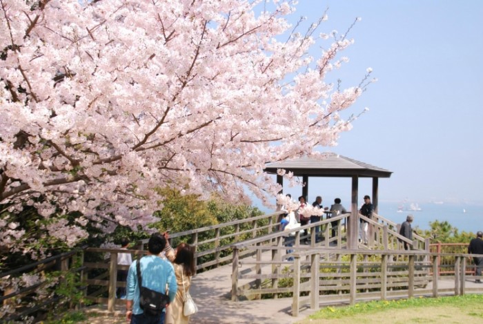 來源: http://blog.goo.ne.jp/gallerytake/e/a1fcaac86f37dcfd5213ee709431cac9
