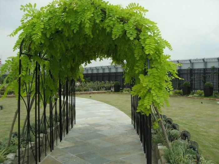 來源: http://blog.goo.ne.jp/cocoa7771/e/38e201552170966f84eb1b82a6e0ebd6