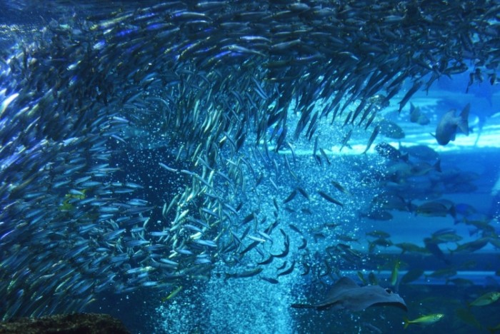 來源: http://blog.livedoor.jp/netword-syasin/archives/1932899.html
