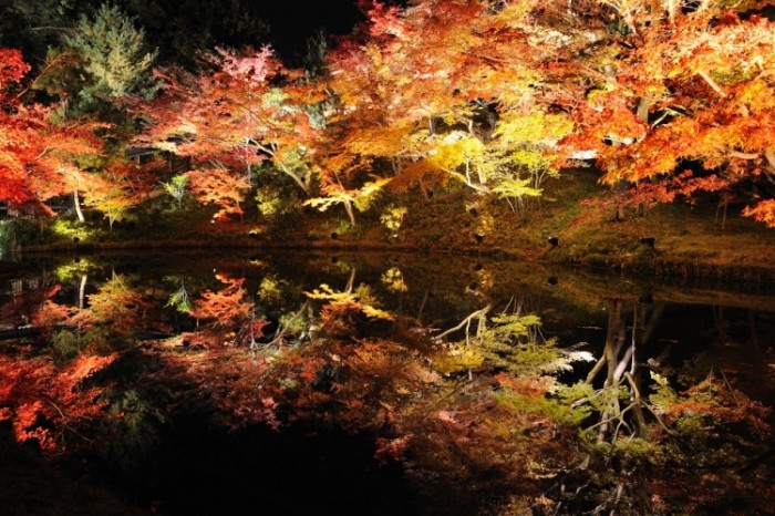 來源: http://blogs.yahoo.co.jp/dokoiko_net/24217868.html