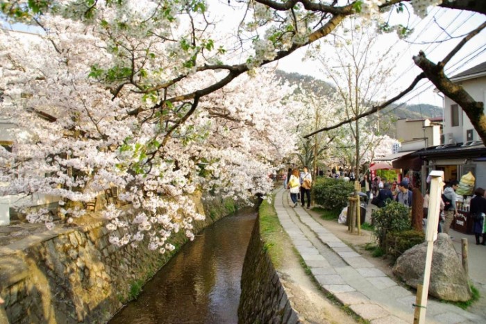來源: http://blogs.yahoo.co.jp/shonan_takeman/47401092.html
