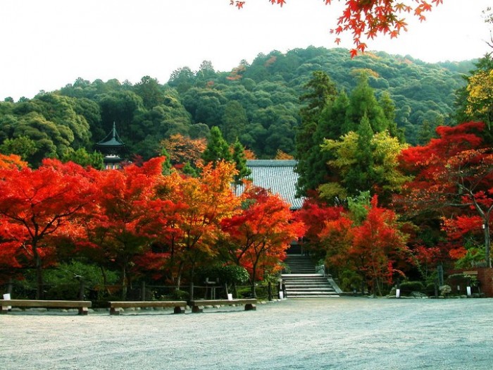 來源: http://blog.163.com/t298_06/blog/static/1855533062007527322460/