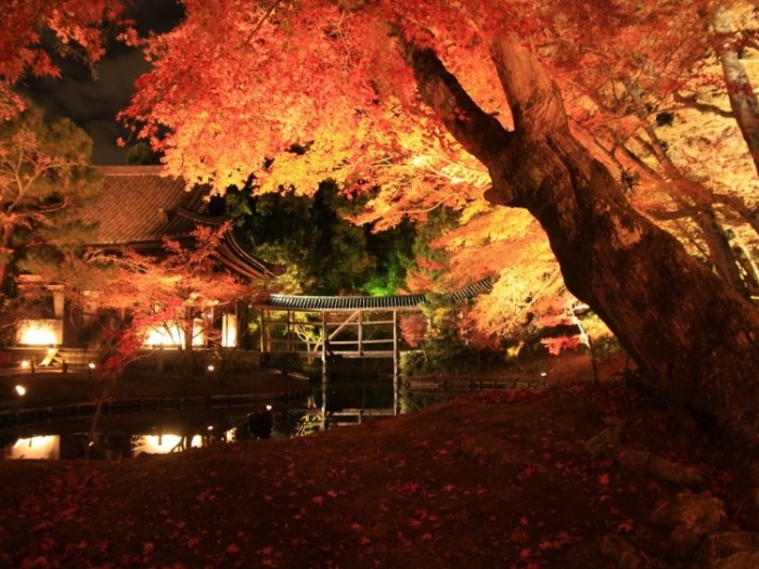 來源: http://www.yakei-kabegami.com/cgi-bin/kabegami/10247.html