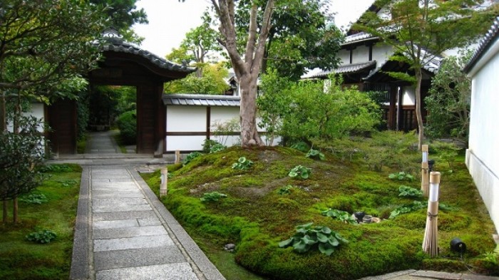 來源: http://blog.goo.ne.jp/kappou-fujiwara/e/335f1ab4b88010805e66b4d51e666260