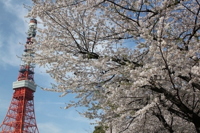 來源: http://ameblo.jp/nx-station/entry-11499894943.html