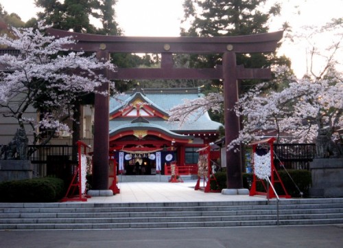 仙台 在櫻花樹下悠閑地度過一天 私藏賞櫻景點5選 Travelbook旅人網