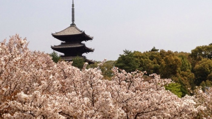 來源: http://shishin-kyoto.blogspot.jp/2014/04/blog-post.html