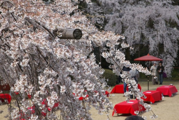 來源: http://www.tabi.photo/album/common/common_201_250/common_album_226.php