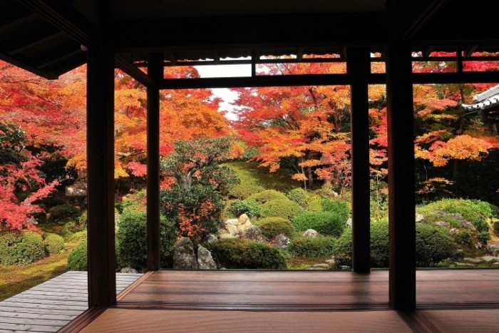 來源: http://mangekyo-kan-dayori2.sblo.jp/article/60256977.html