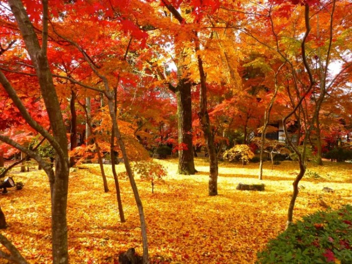來源: http://blogs.yahoo.co.jp/whfsc363/67150913.html