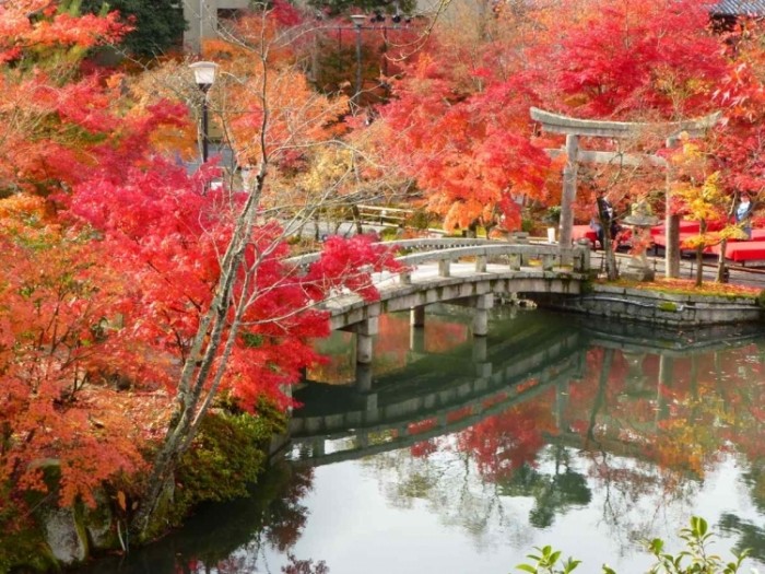 來源: http://blogs.yahoo.co.jp/whfsc363/67150913.html