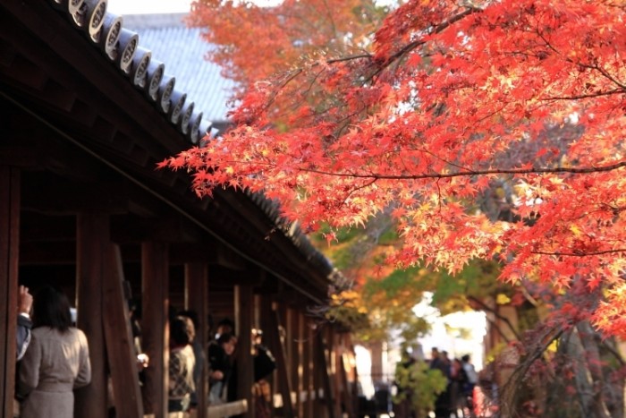 來源: http://f.hatena.com/tekutaku_ei/20091121140747