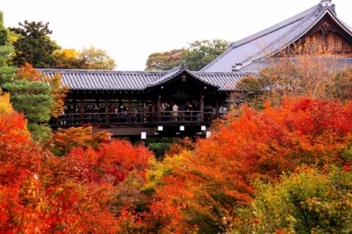 來源: http://blog.livedoor.jp/bochan693/archives/30968711.html