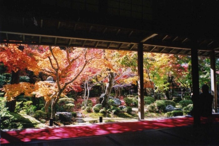 來源: http://blog.aikawa-kyo.com/archives/50747475.html