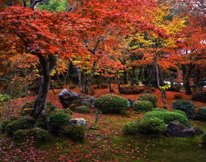 來源: http://www.enkouji.jp/autumn.html