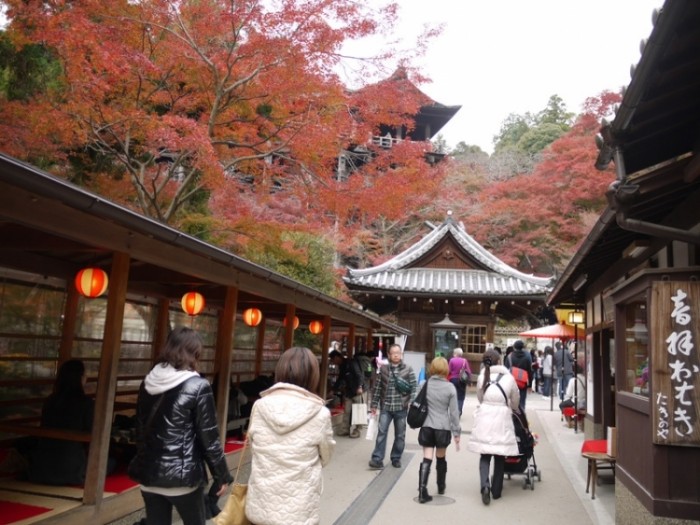 來源: http://blog.goo.ne.jp/majikunmama/e/f6715c2085cbb0dc169f9d938e14050c