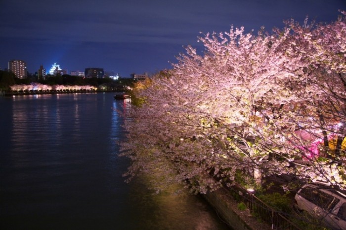 來源: http://kazn21.exblog.jp/4339071