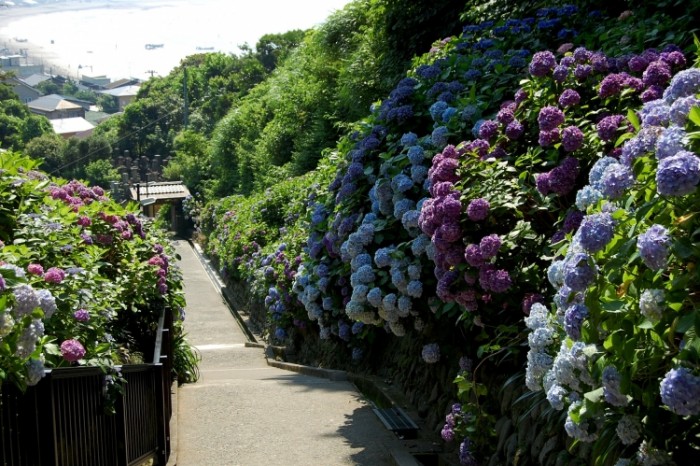 來源: http://blog.livedoor.jp/stylehide/archives/29582581.html
