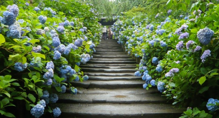 來源: http://blogs.yahoo.co.jp/edy2milage/50315286.html