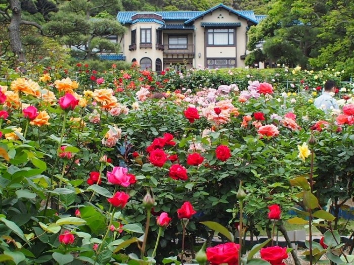 來源: http://akemaru.at.webry.info