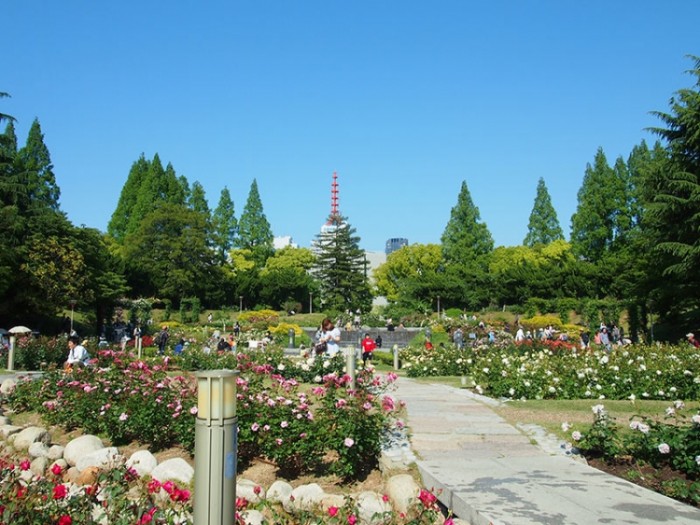 來源: http://obaa.jugem.jp/?eid=585