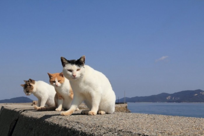 來源: http://www.panoramio.com/photo/97803635